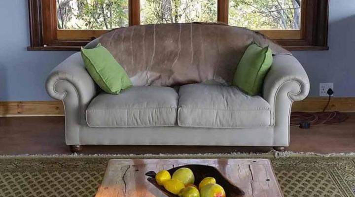 Tree Tops Guest Farm