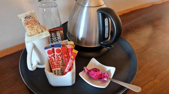 The Green Lizard Guesthouse