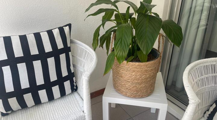 Footprints in Kleinmond