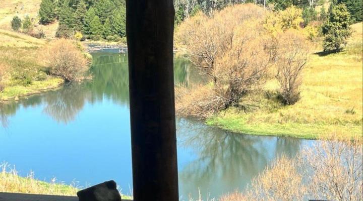 Tin Can Glamping Caravan