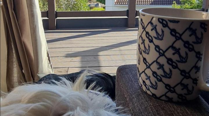 Saint Anna Beach House