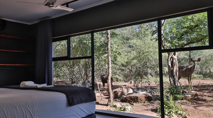 Akasha by Kruger Nights