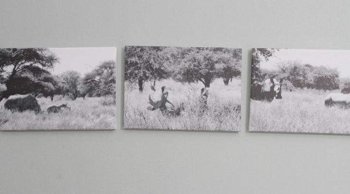 Sonskyn Hof Guest House