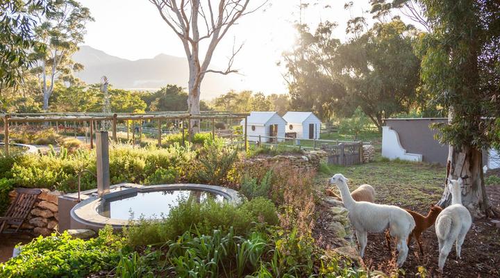 Rivergate Guest Farm