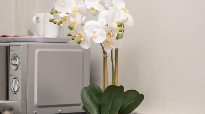 Barkly Street Guesthouse