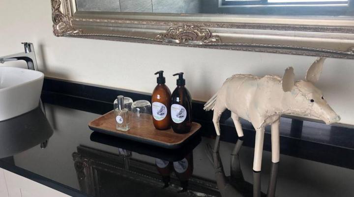 Barn Owl Lodge Mjejane Game Reserve