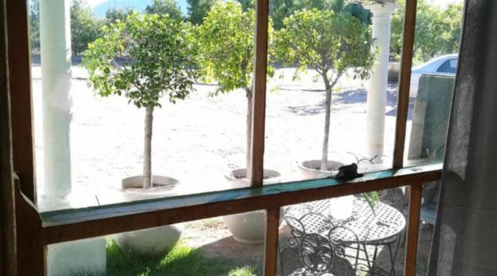 De Oude Schuur Accommodation