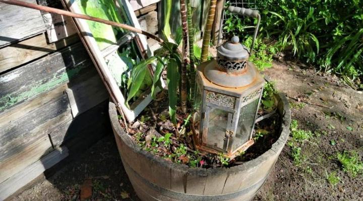 De Oude Schuur Accommodation