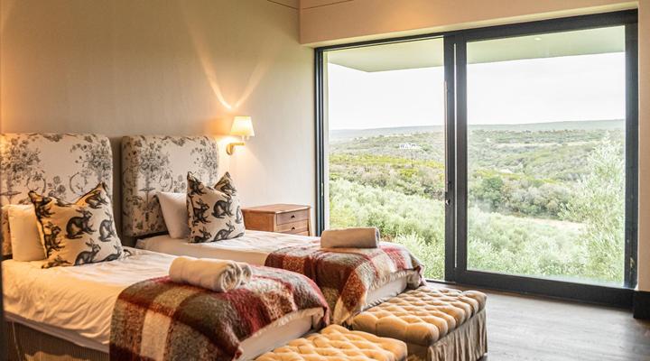 Oudewerfskloof Olive Farm