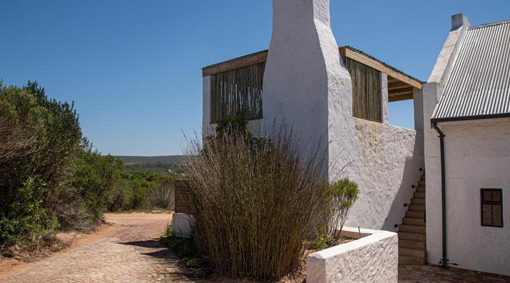 Oudewerfskloof Olive Farm