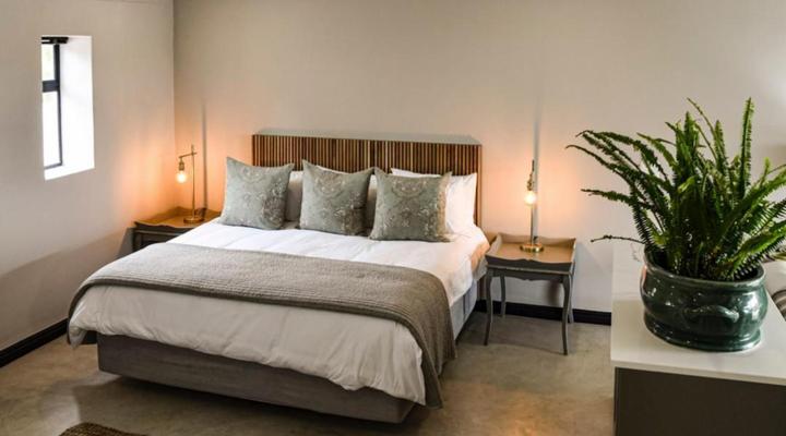 Oudewerfskloof Olive Farm