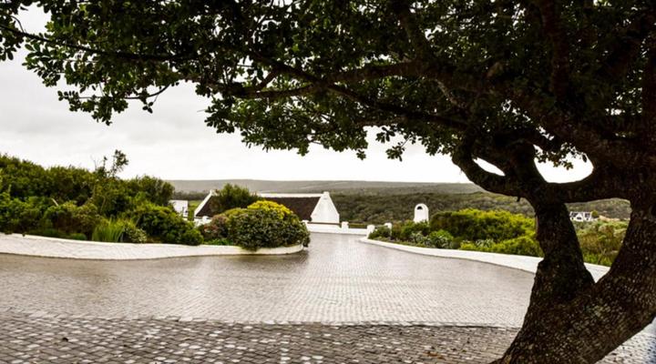 Oudewerfskloof Olive Farm