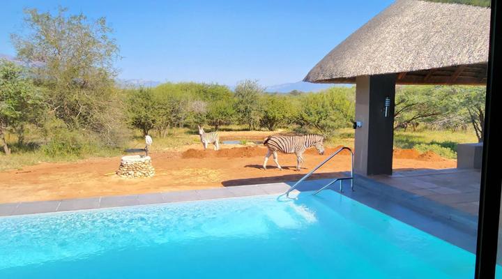 Thandolwami Bushlodge