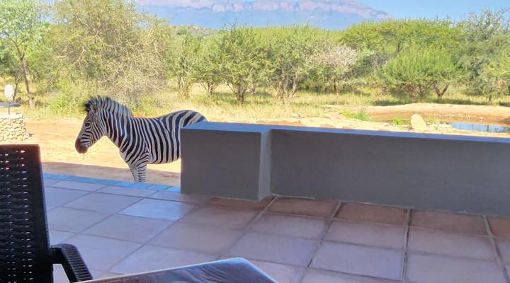 Thandolwami Bushlodge