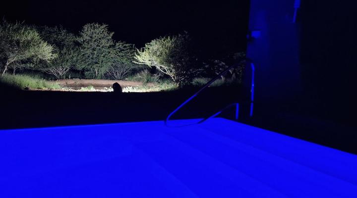 Thandolwami Bushlodge