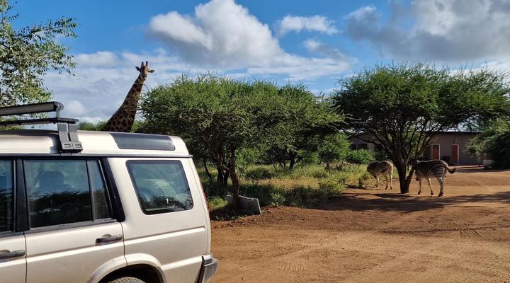 Thandolwami Bushlodge
