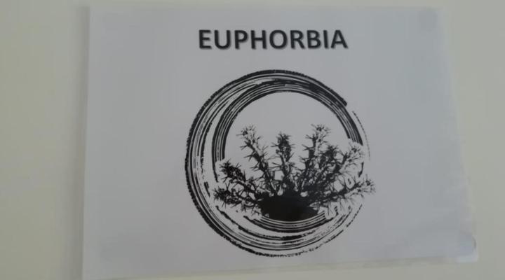 De Wildt Cheetah Lodge