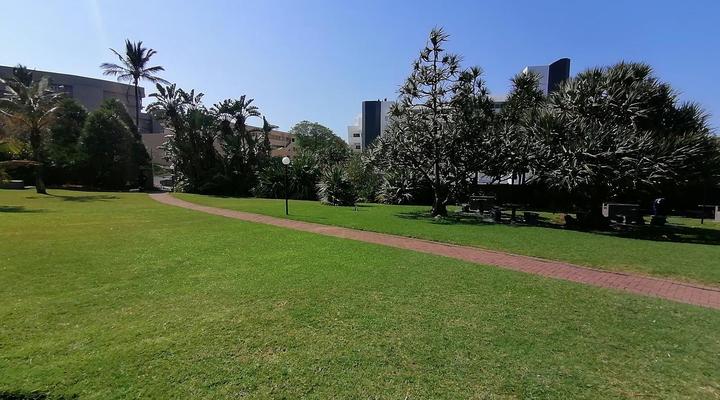 Harcourts Dolphin Coast