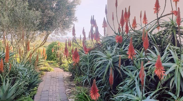 The Boulders Langebaan