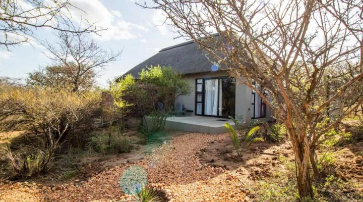 The Lazy Leopard Lodge