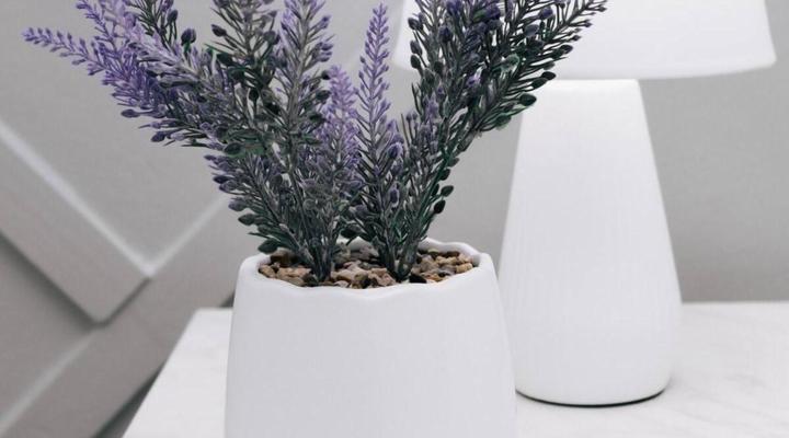 The Lofts Luxury Suites