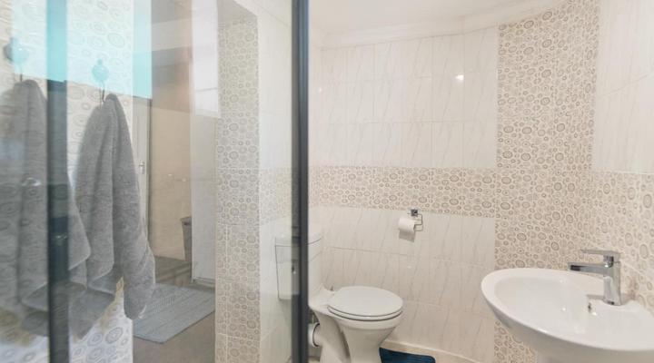 Gans te Ver Suiderstrand