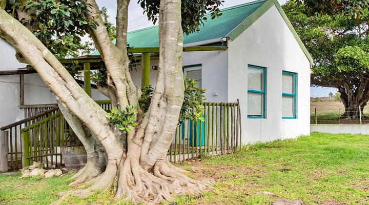 Wiggins Self Catering