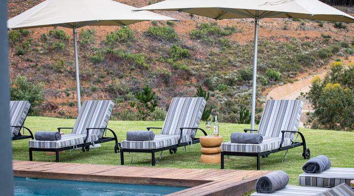 Taaibosch Collection