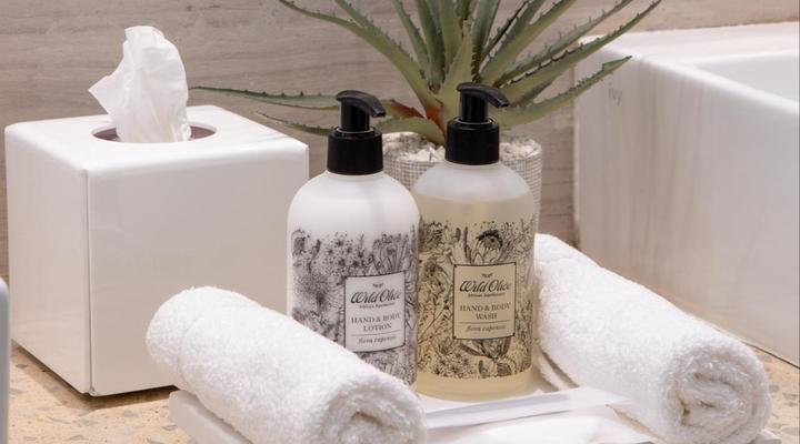 Taaibosch Collection