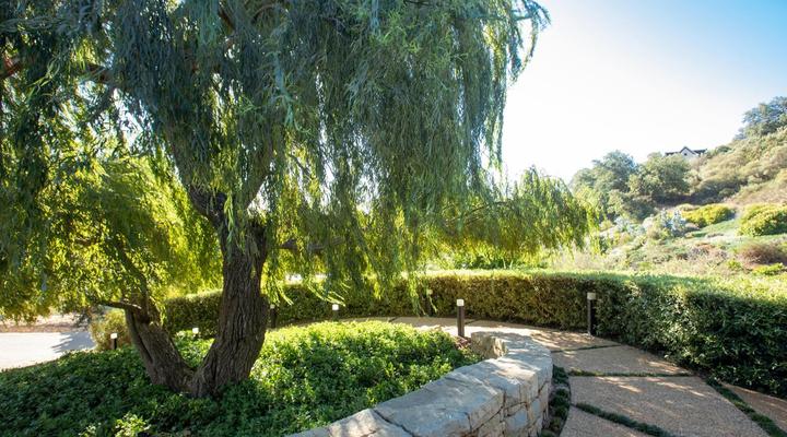 Taaibosch Collection