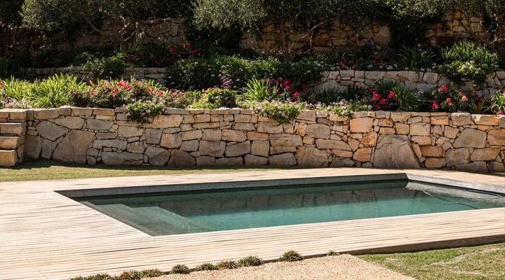 Taaibosch Collection