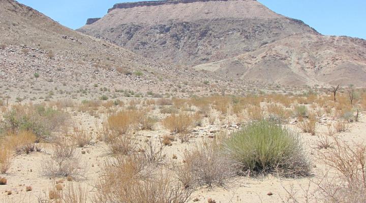 Mount Canyon Guest Farm
