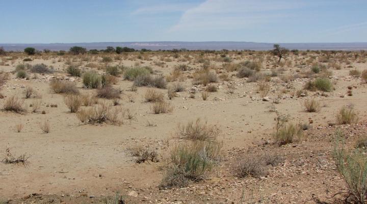 Mount Canyon Guest Farm