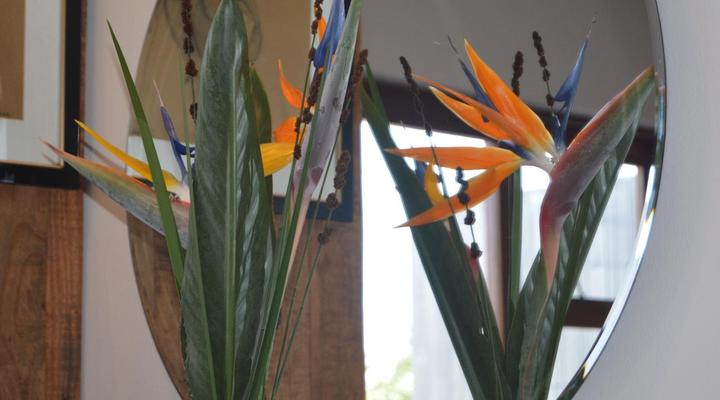 Ocean Gaze Bed and Breakfast