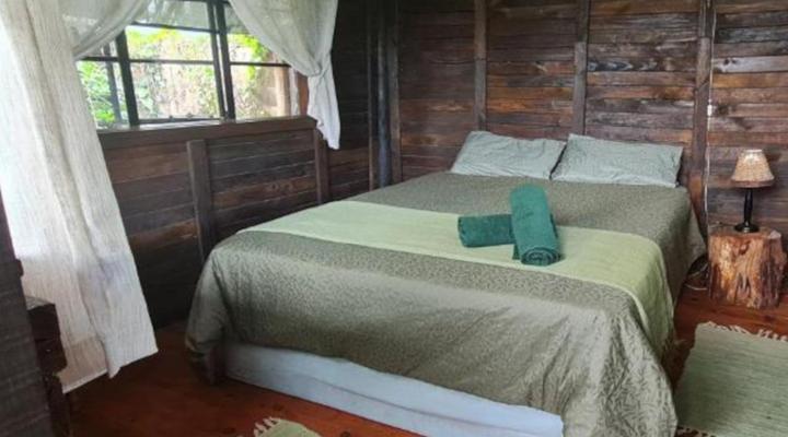 Tsitsikamma Wolf Sanctuary