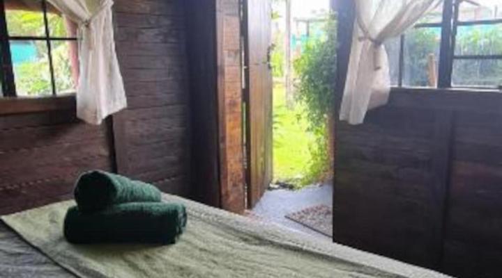 Tsitsikamma Wolf Sanctuary