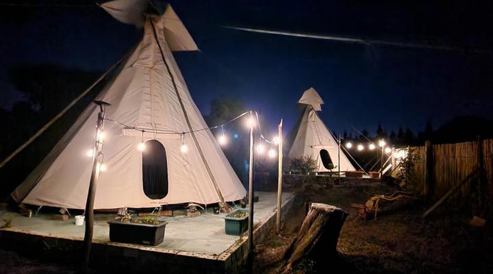 Tsitsikamma Wolf Sanctuary