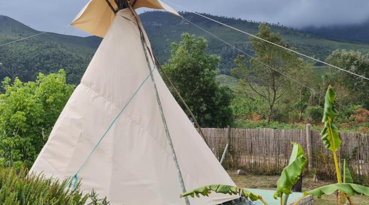 Tsitsikamma Wolf Sanctuary