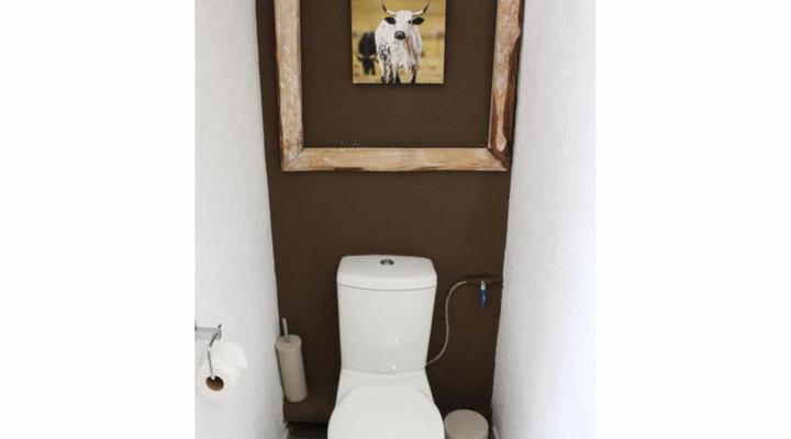 An Exclusive Guest House too