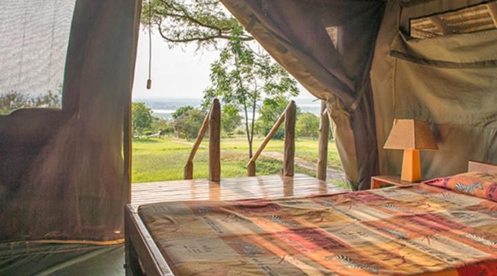 Bwana Tembo Safari Camp