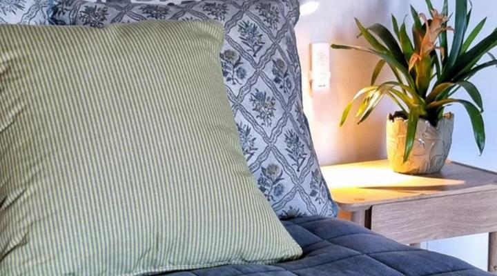 Dragon Tree Guest House