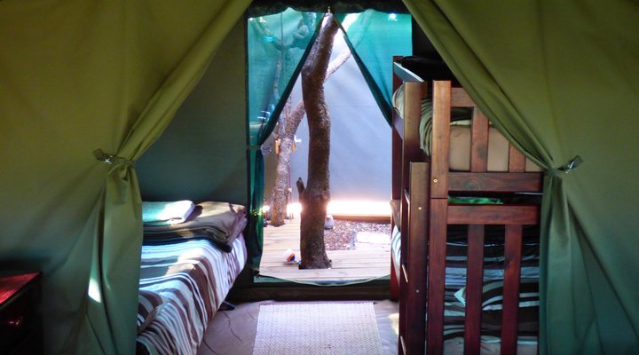 Thorn Tree Bush Camp - Accommodation