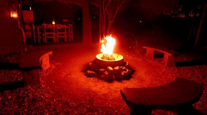 Thorn Tree Bush Camp - Accommodation