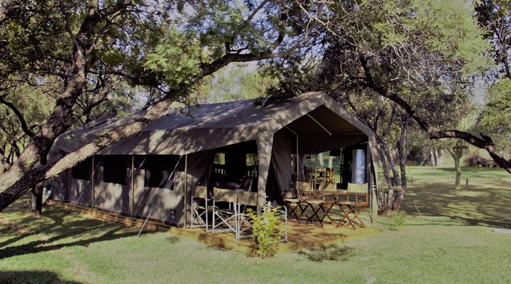 Thorn Tree Bush Camp - Accommodation