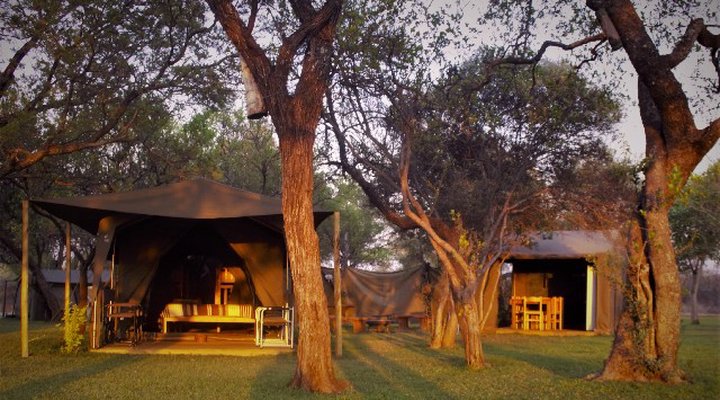 Thorn Tree Bush Camp - Accommodation