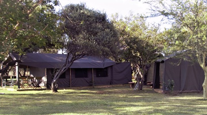 Thorn Tree Bush Camp - Accommodation
