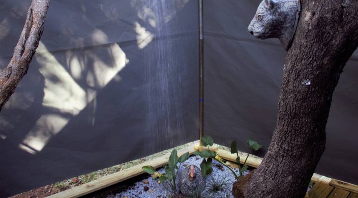 Thorn Tree Bush Camp - Accommodation