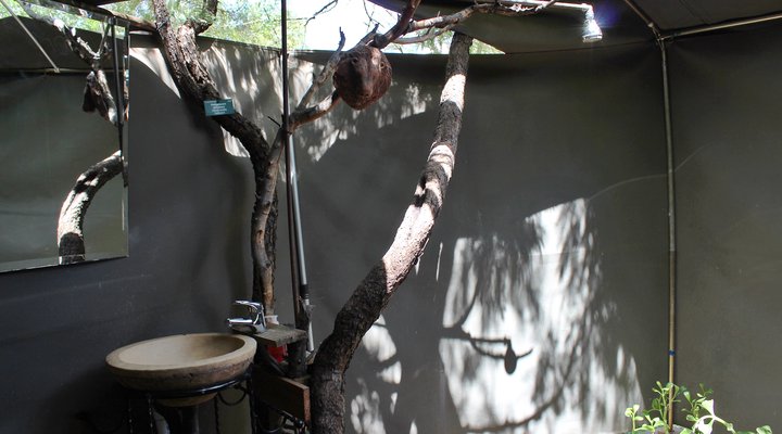 Thorn Tree Bush Camp - Accommodation