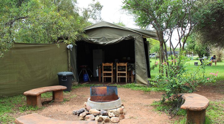 Thorn Tree Bush Camp - Accommodation