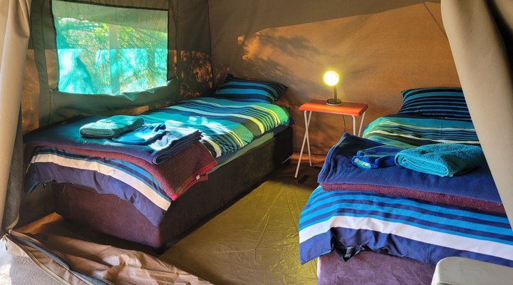 Thorn Tree Bush Camp - Accommodation
